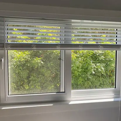 A window with white blinds, showing green foliage outside.